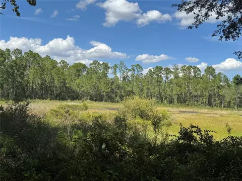 tbd S Sr 21, Orange Springs, FL 32182