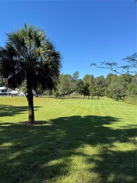 tbd NE 185 Ave, Williston, FL 32696 photo 9