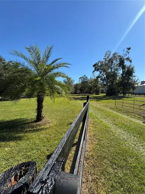 tbd NE 185 Ave, Williston, FL 32696 photo 4