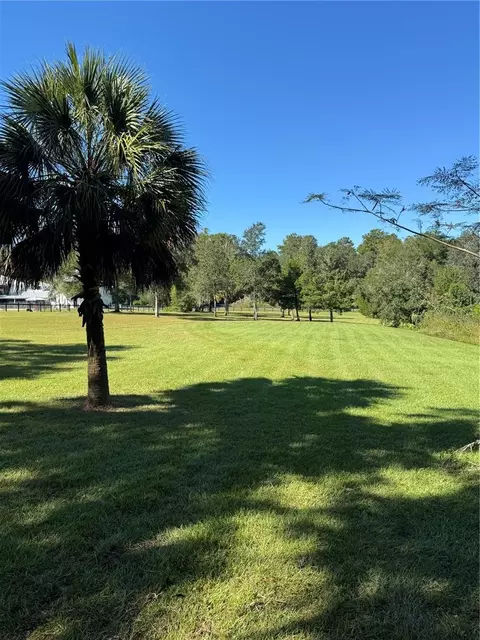 tbd NE 185 Ave, Williston, FL 32696 photo 8