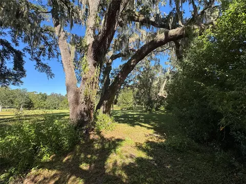 tbd NE 185 Ave, Williston, FL 32696 photo 13