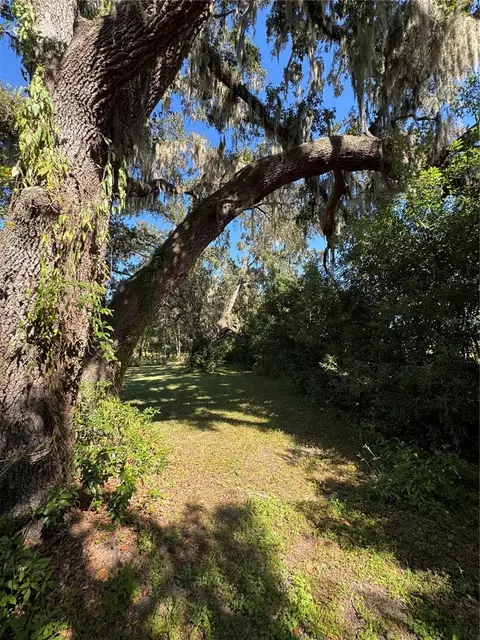 tbd NE 185 Ave, Williston, FL 32696 photo 14