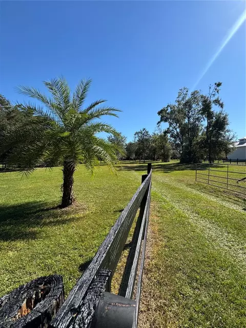 tbd NE 185 Ave, Williston, FL 32696 photo 3