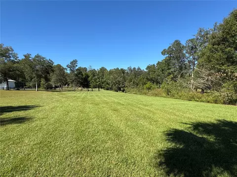 tbd NE 185 Ave, Williston, FL 32696 photo 10