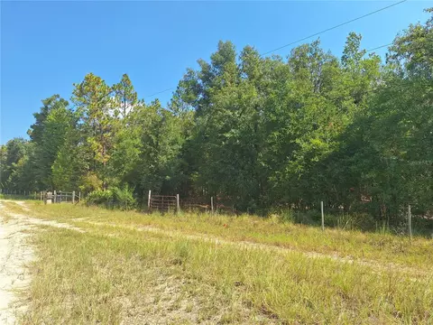 lot9 NW 73rd Way, Bell, FL 32619