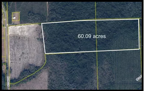 tbd N County Rd 229, Raiford, FL 32083