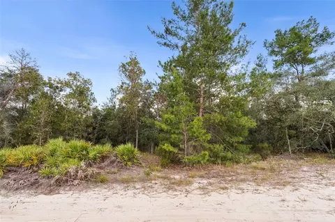 0 NE 75 St, Bronson, FL 32621 photo 3