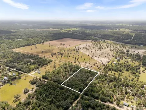 0 NE 75 St, Bronson, FL 32621 photo 4