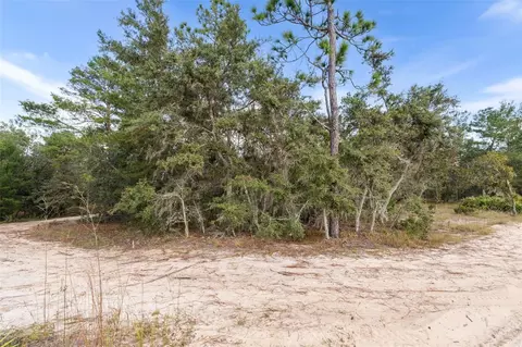 0 NE 75 St, Bronson, FL 32621 photo 2
