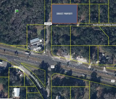 102 NE 9th Ave, Micanopy, FL 32667
