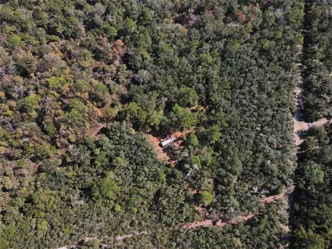 tbd Quail Rd, Cedar Key, FL 32625 photo 5