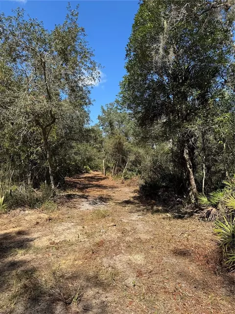 tbd Quail Rd, Cedar Key, FL 32625 photo 21