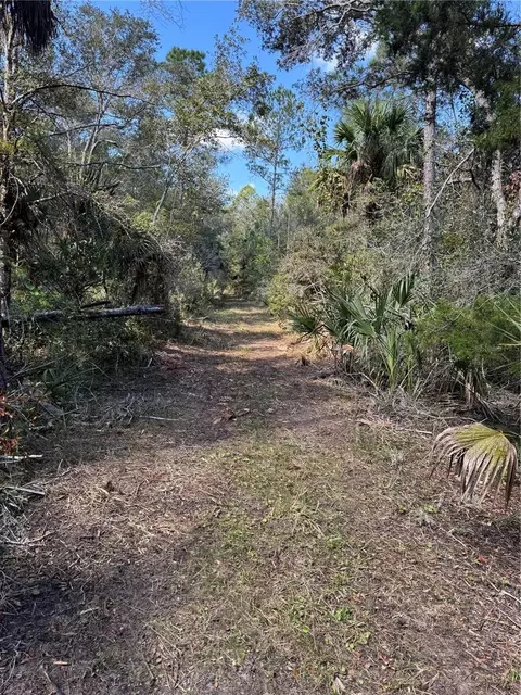 tbd Quail Rd, Cedar Key, FL 32625 photo 16