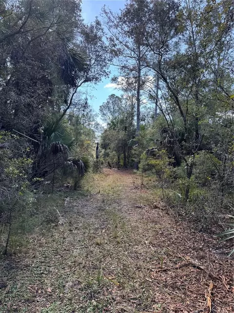 tbd Quail Rd, Cedar Key, FL 32625 photo 13