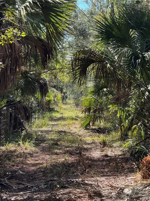 tbd Quail Rd, Cedar Key, FL 32625 photo 12