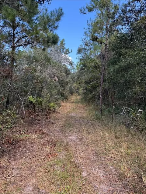 tbd Quail Rd, Cedar Key, FL 32625 photo 11