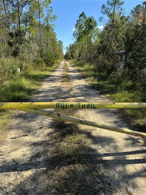 tbd Quail Rd, Cedar Key, FL 32625 photo 2