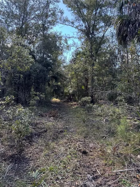 tbd Quail Rd, Cedar Key, FL 32625 photo 20