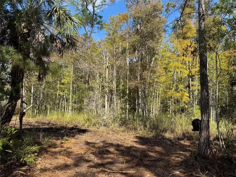 tbd Quail Rd, Cedar Key, FL 32625 photo 4