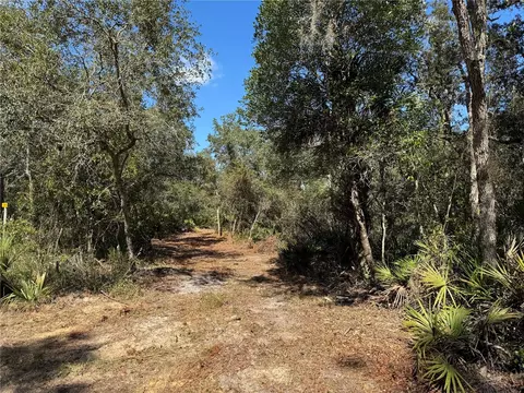 tbd Quail Rd, Cedar Key, FL 32625 photo 10