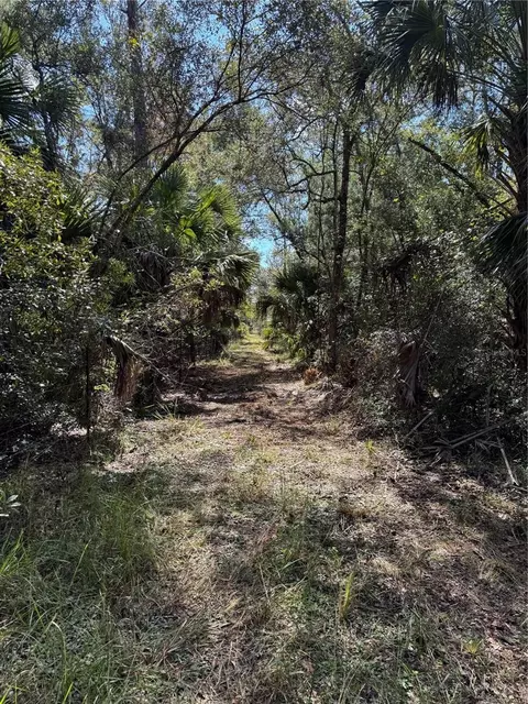tbd Quail Rd, Cedar Key, FL 32625 photo 15