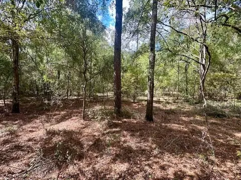 NW 13th Terrace, Bell, FL 32619