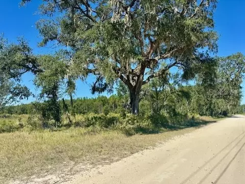 NE 35th Ave, Bronson, FL 32621