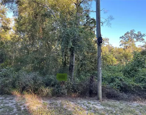 Ooo SE 923rd Street, Old Town, FL 32680