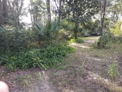 3 NE 5 St, Chiefland, FL 32626