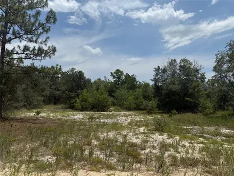 129 Viola Dr, Hawthorne, FL 32640