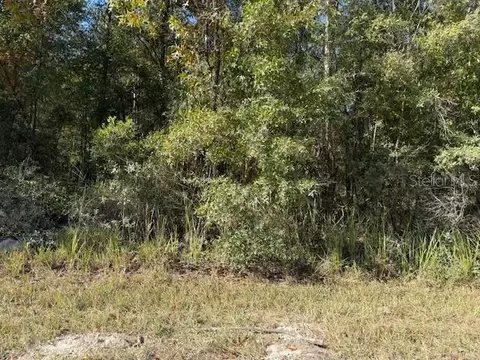 108 Th Ave NE, Bronson, FL 32621