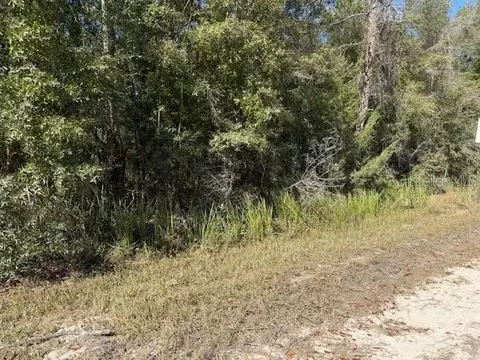 108 Th Ave NE, Bronson, FL 32621 photo 2
