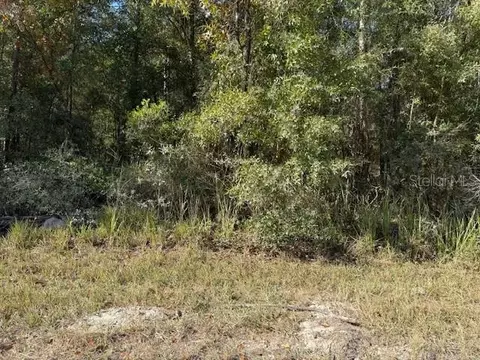 108 Th Ave NE, Bronson, FL 32621 photo 3