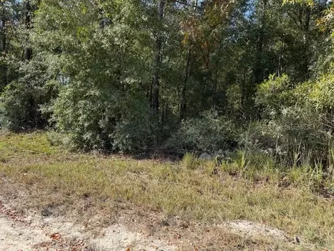 108 Th Ave NE, Bronson, FL 32621 photo 4