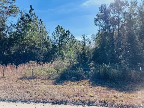 0 NW 126 St, Chiefland, FL 32626