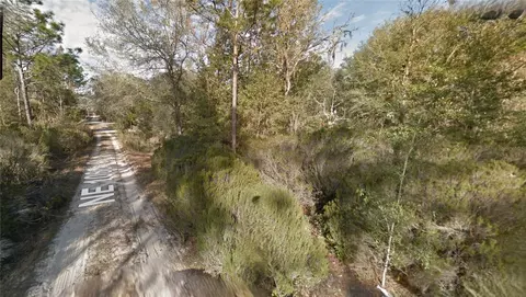lot5 NE 100th Ct, Bronson, FL 32621