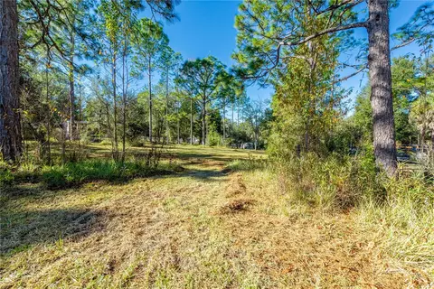 Exterior - 11216 NE 63rd Pl, Williston, FL 32696 photo 3 of 5
