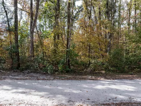 lot S 165 166 Sw Nebraska Ter, Fort White, FL 32038
