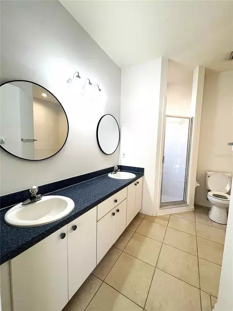 Bath - 13455 Silvercreek Dr, Riverview, FL 33579 photo 1 of 3