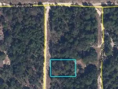 00 Lehigh Dr, Keystone Heights, FL 32656