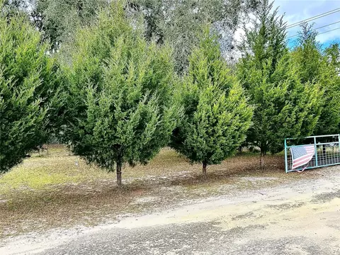 0 NW 60th St, Chiefland, FL 32626
