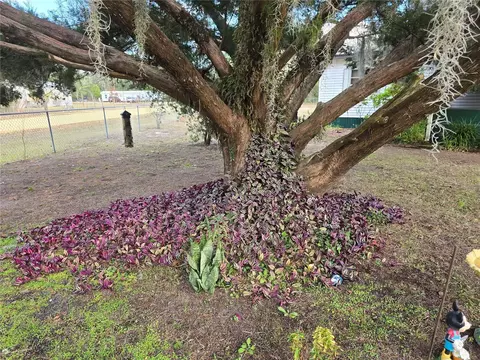 240 Kitty Ave, Interlachen, FL 32148 photo 2