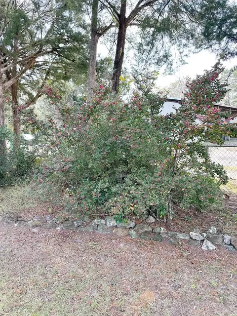 407 SE 4th St, Williston, FL 32696 photo 21
