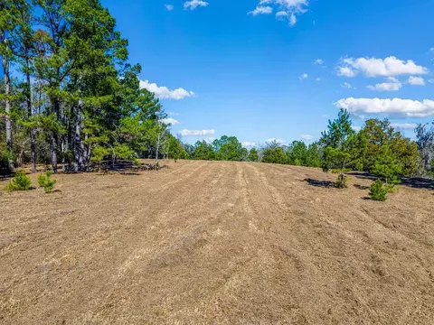 tbd 99th Ave, Lake Butler, FL 32054
