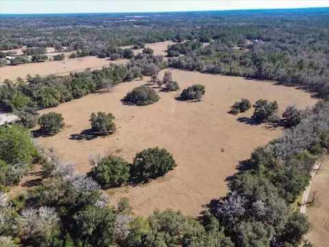 tbd Hwy 329, Micanopy, FL 32667