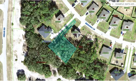 224 Begonia Ln, Kissimmee, FL 34759