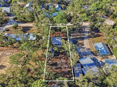 View/Area - 317 Cedar St NE, Steinhatchee, FL 32359 photo 4 of 8