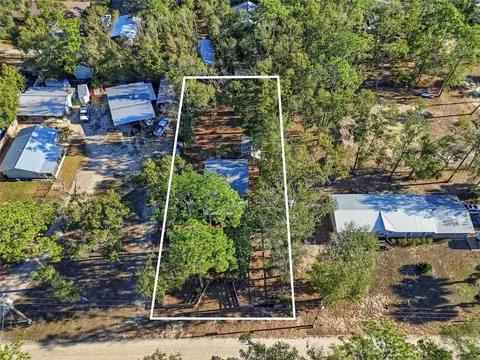 View/Area - 317 Cedar St NE, Steinhatchee, FL 32359 photo 2 of 8