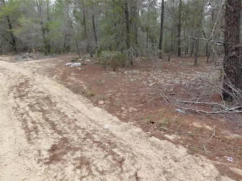 0 Oak Ter, Interlachen, FL 32148 photo 6