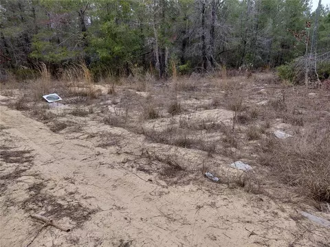 0 Oak Ter, Interlachen, FL 32148 photo 8